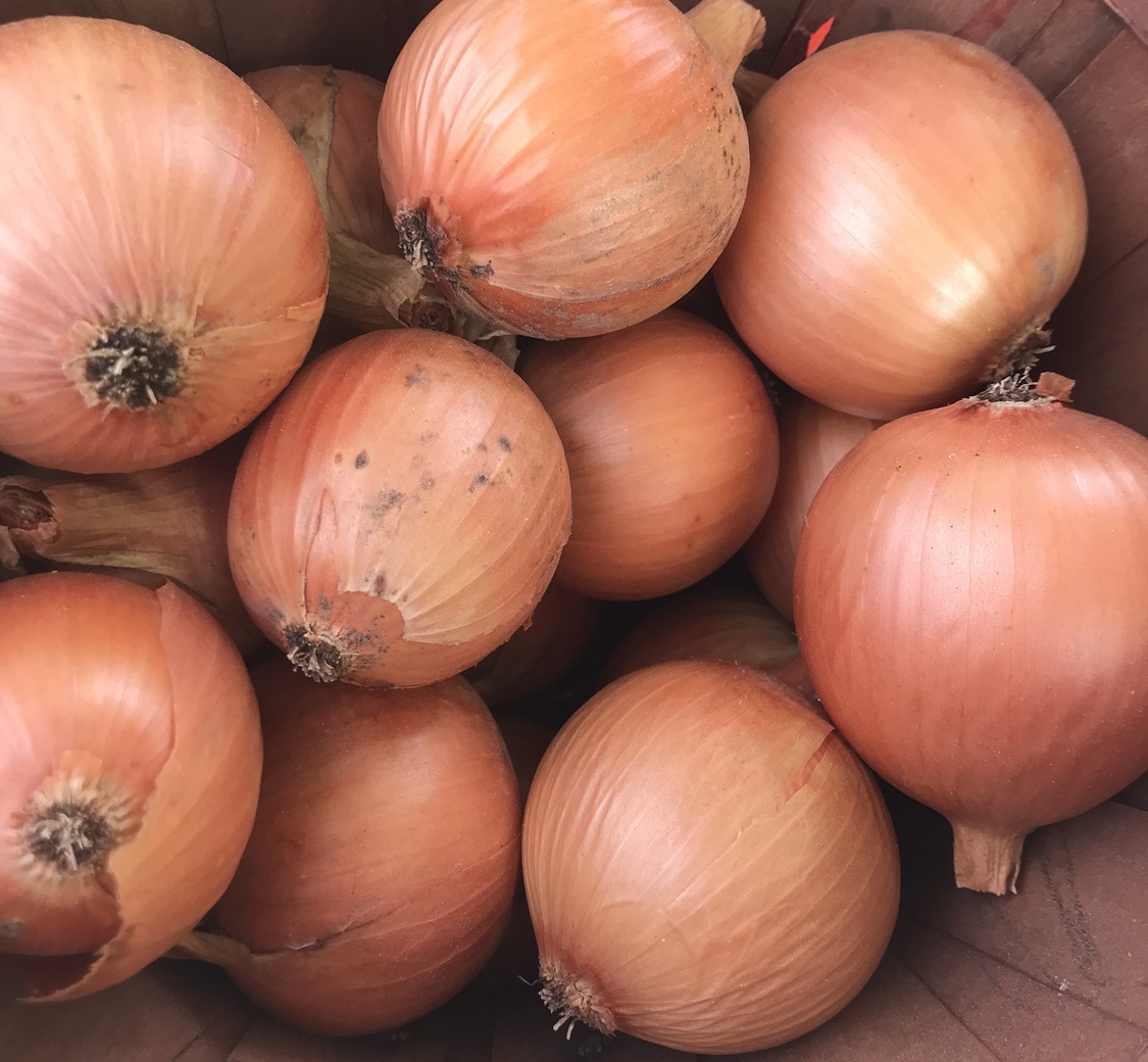 Yellow Onions