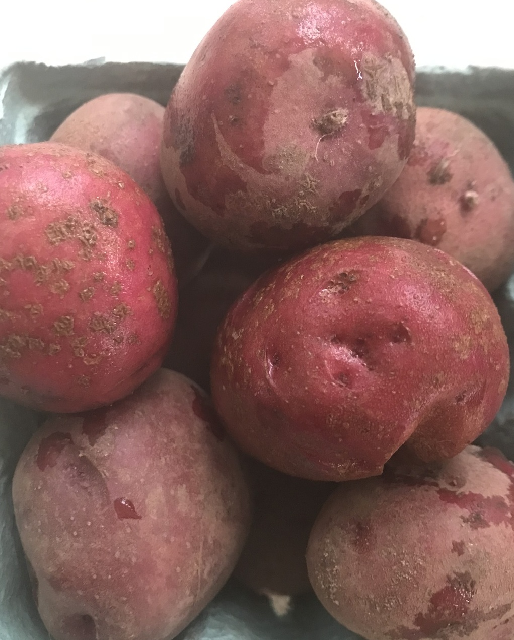 Red Potatoes